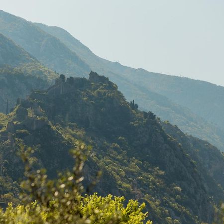 Kotor Sunrise Apartments Екстер'єр фото